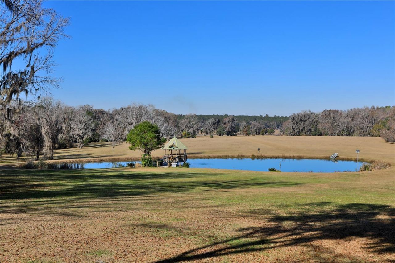 15551 NW Highway 225, Reddick, FL 32686 Photo