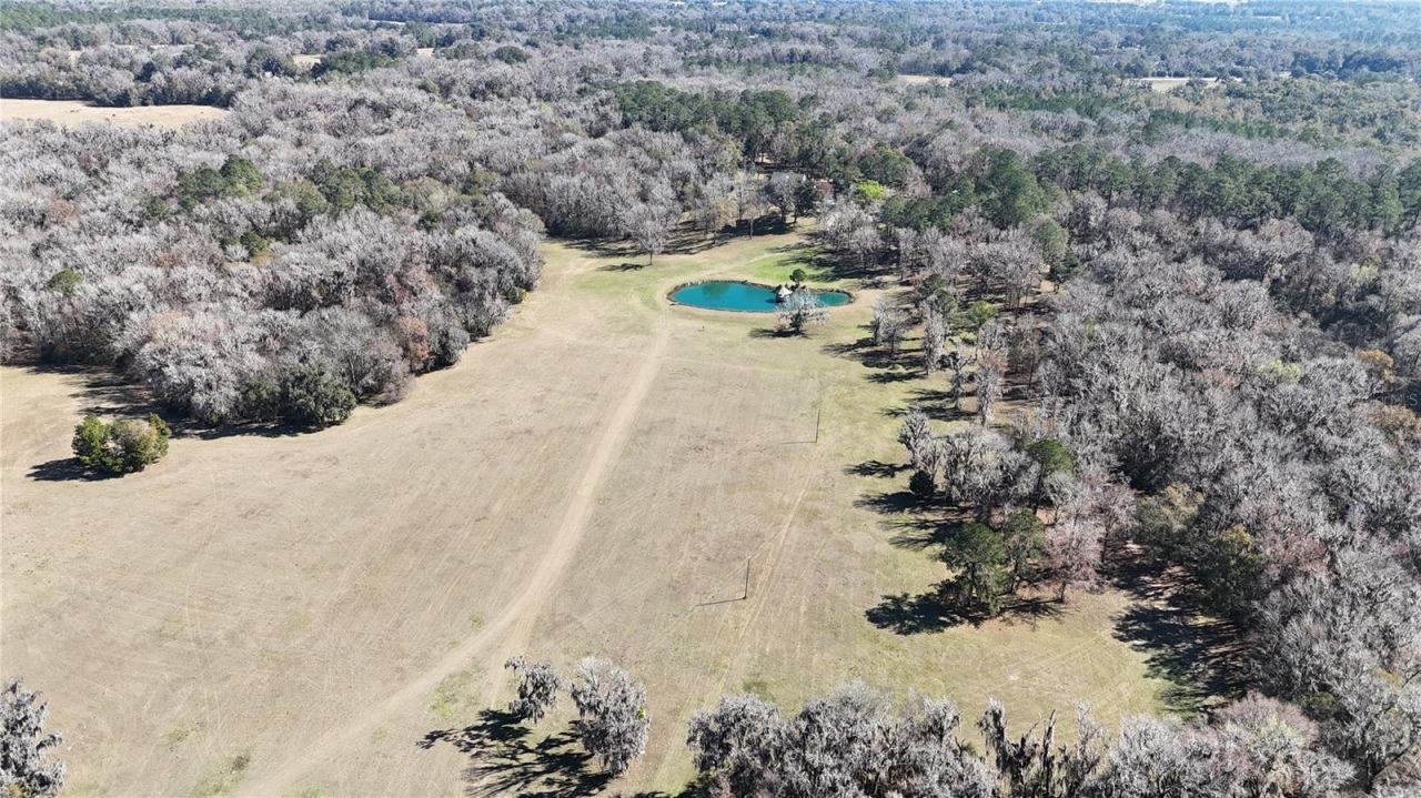 15551 NW Highway 225, Reddick, FL 32686 Photo