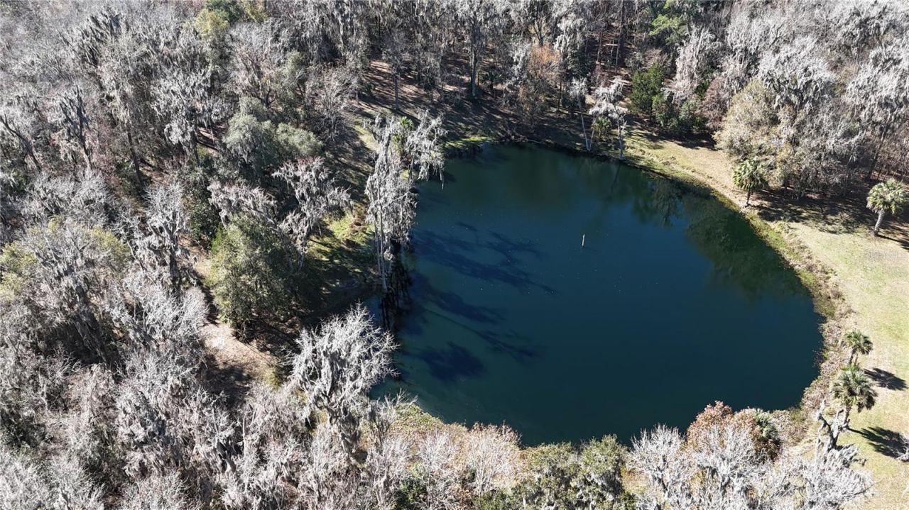 15551 NW Highway 225, Reddick, FL 32686 Photo