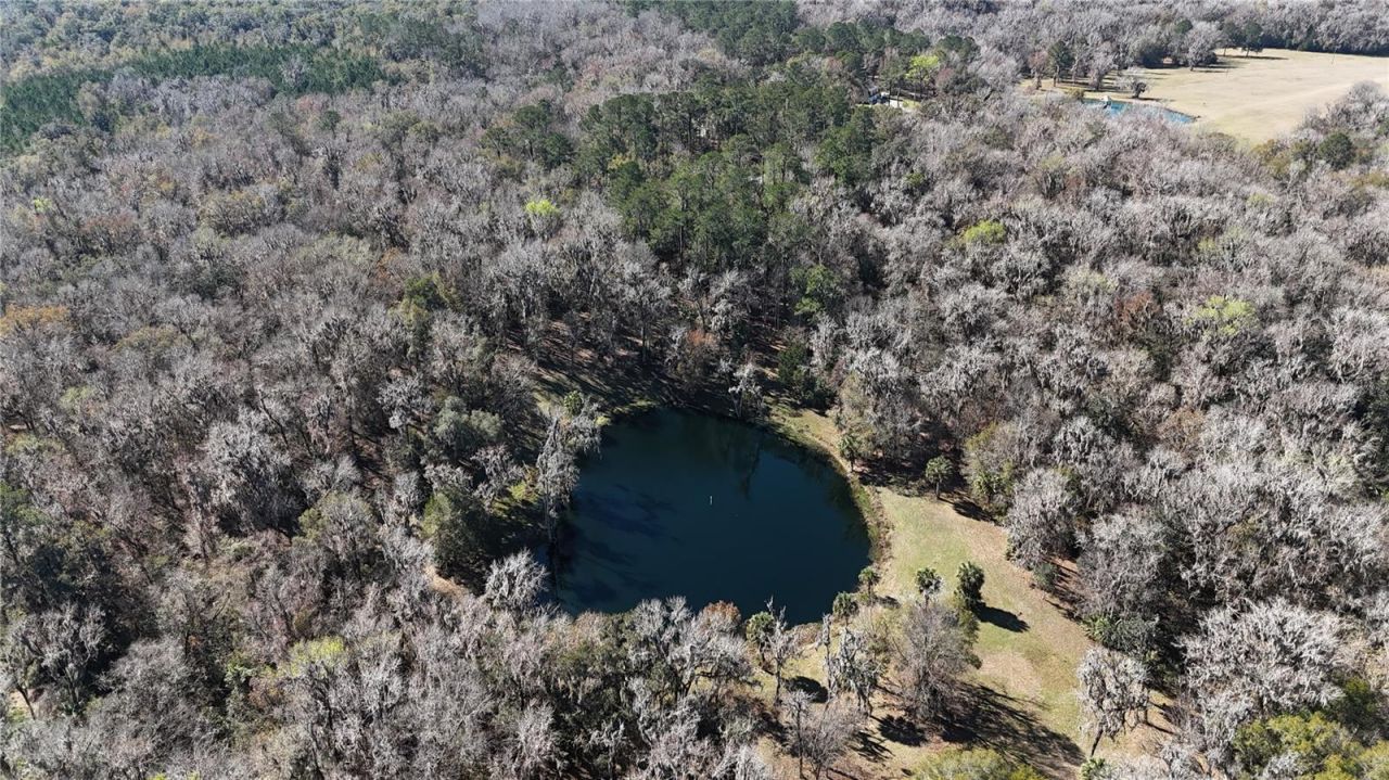 15551 NW Highway 225, Reddick, FL 32686 Photo