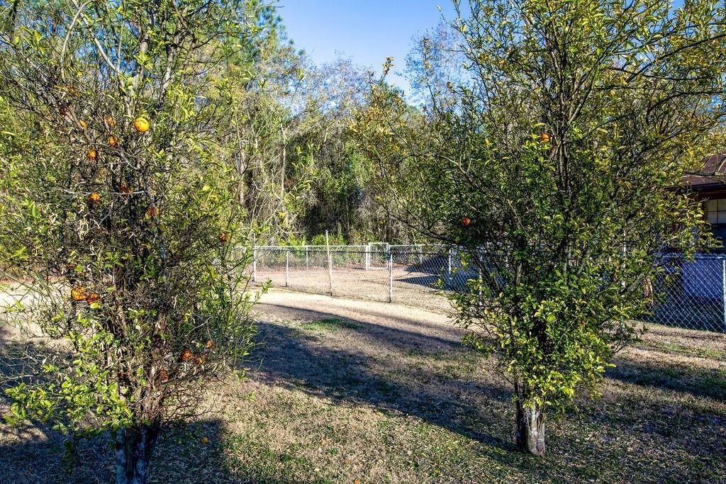 16064 SW County Road 235, Brooker, FL 32622 Photo