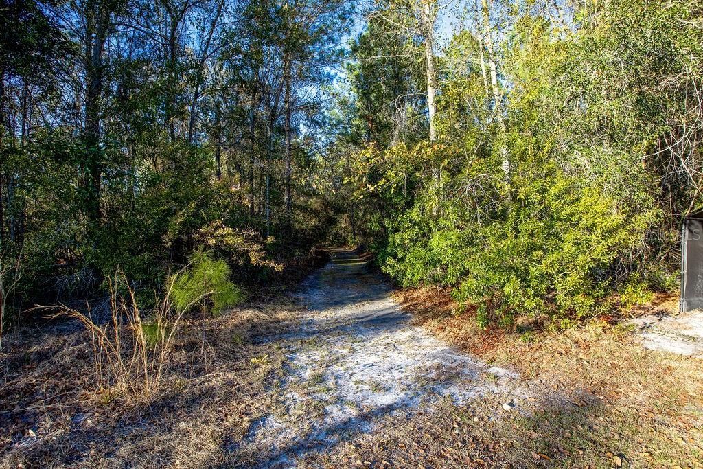 16064 SW County Road 235, Brooker, FL 32622 Photo