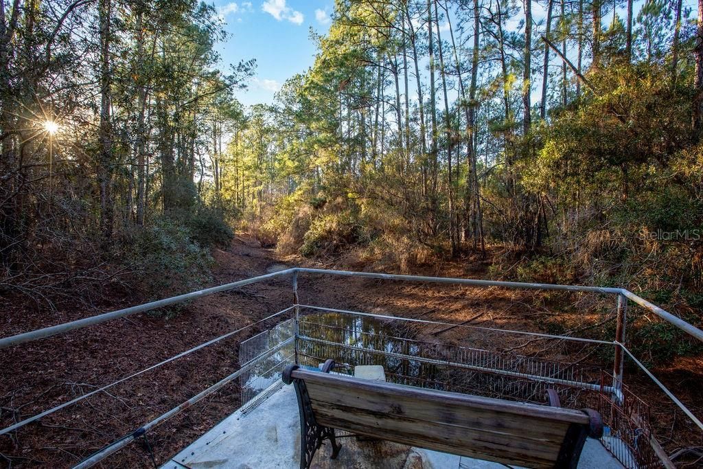 16064 SW County Road 235, Brooker, FL 32622 Photo