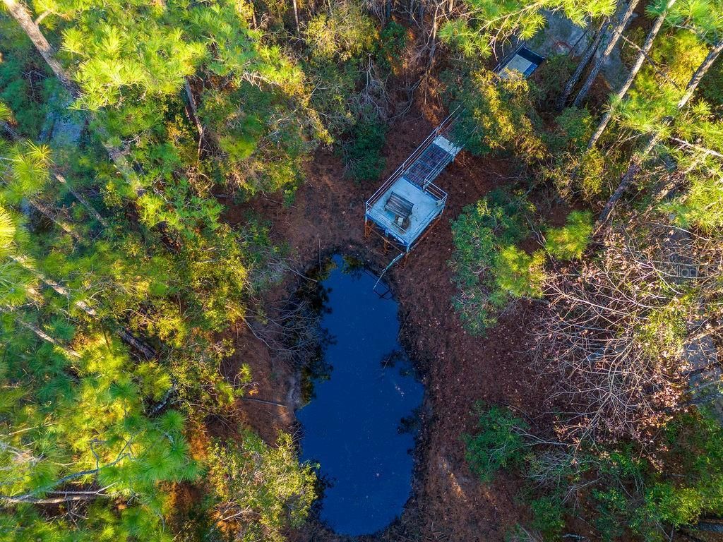 16064 SW County Road 235, Brooker, FL 32622 Photo