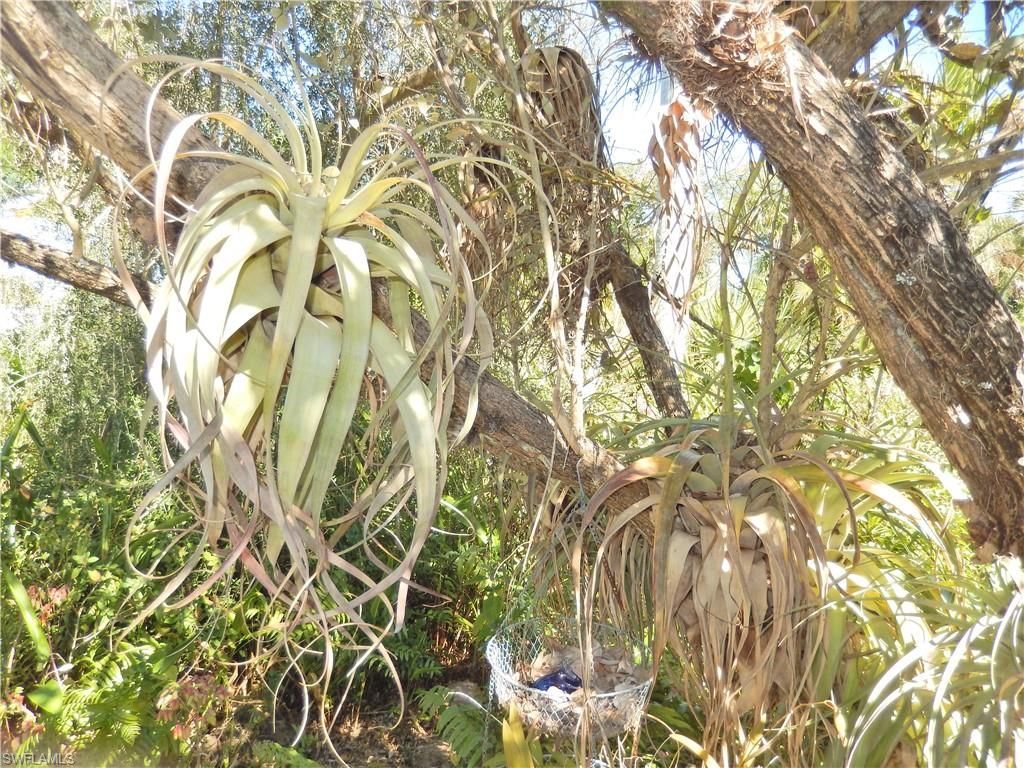 229 SE 46th Ln , Cape Coral, FL 33904 Photo