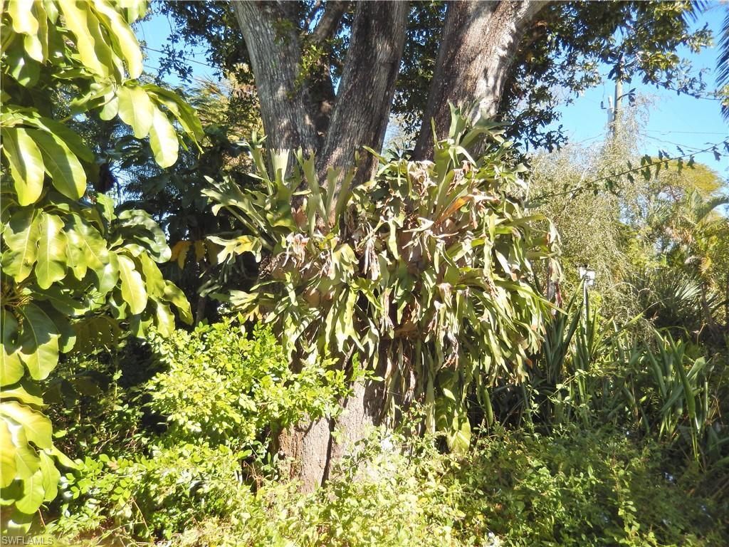 229 SE 46th Ln , Cape Coral, FL 33904 Photo