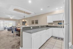 1101 Louise Costin Ln. photo 4