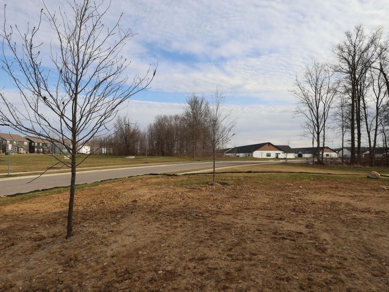 3682 Eagles Landing Drive, Powell, OH 43065 Photo 20