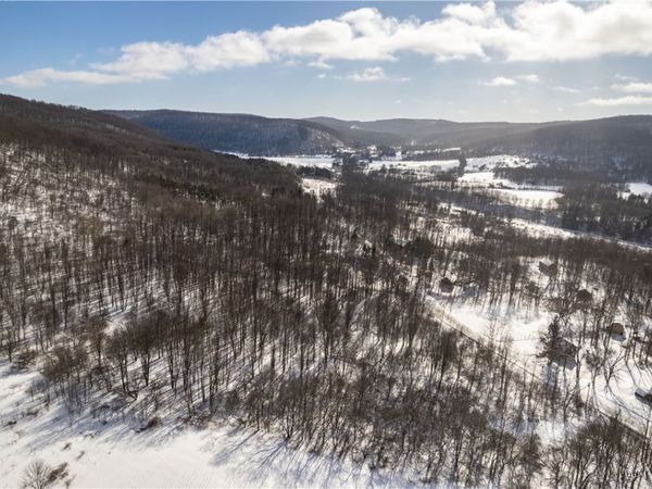 V/L Kent Road, Little Valley, NY 14755