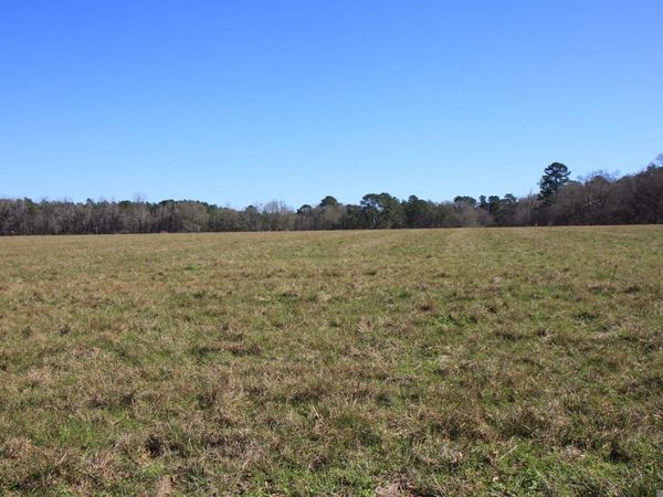 TBD Lot 7 Cook Rd, Slaughter, LA 70777