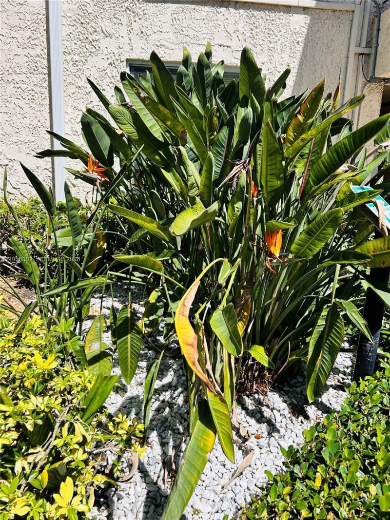 8603 SW 68th Ct, Unit 22, Miami, FL 33143 Photo