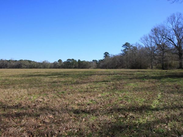 TBD Lot 8 Cook Rd, Slaughter, LA 70777