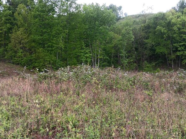 0 Hampton Hollow Road, Unit (7 Acre Tr, Langsville, OH 45741