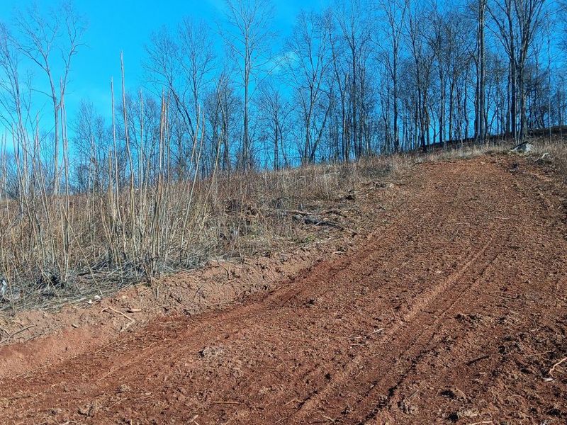 0 Hampton Hollow Road , Unit (7 Acre Tr, Langsville, OH 45741 Photo 13