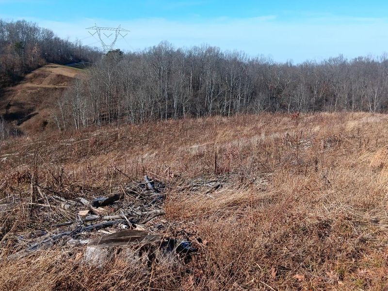 0 Hampton Hollow Road , Unit (7 Acre Tr, Langsville, OH 45741 Photo 15