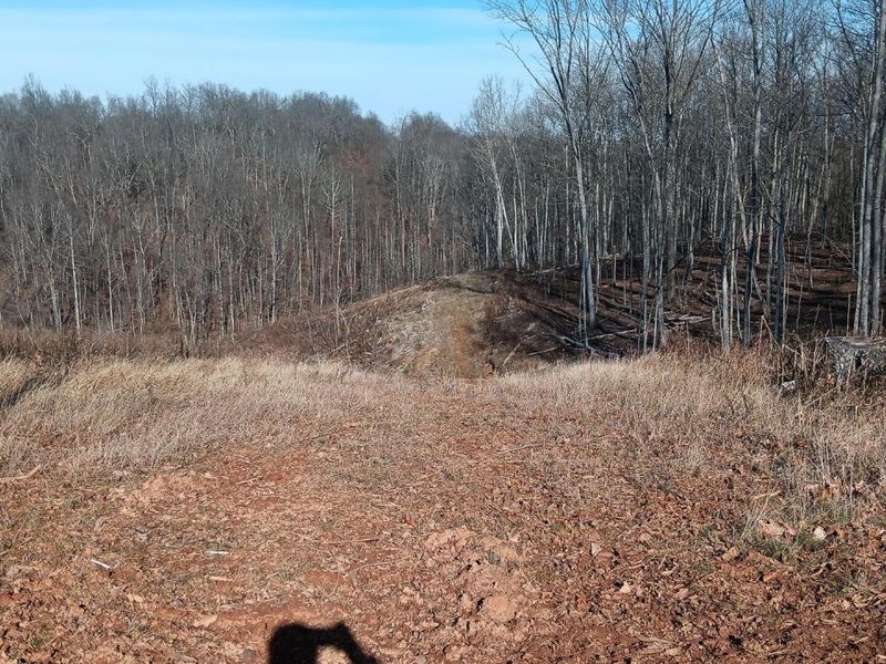 0 Hampton Hollow Road , Unit (7 Acre Tr, Langsville, OH 45741 Photo 16