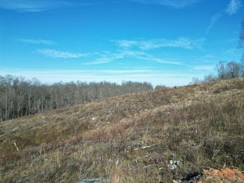 0 Hampton Hollow Road , Unit (7 Acre Tr, Langsville, OH 45741 Photo 21