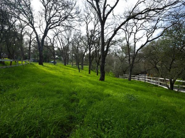 4321 Buchanan Dr, Fair Oaks, CA 95628