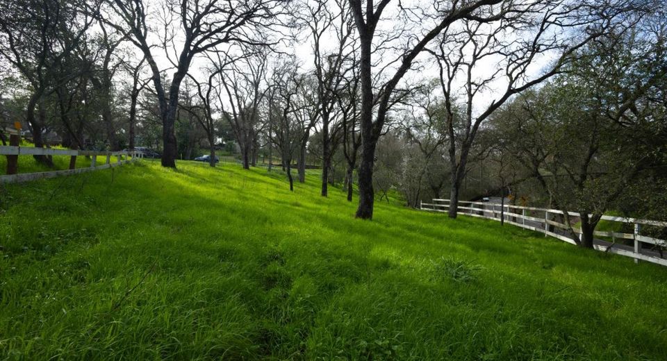 4321 Buchanan Dr, Fair Oaks, CA 95628 Photo