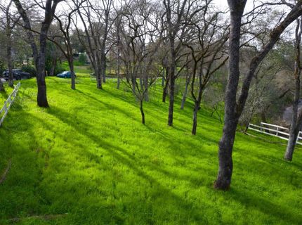 4321 Buchanan Dr, Fair Oaks, CA 95628 Photo