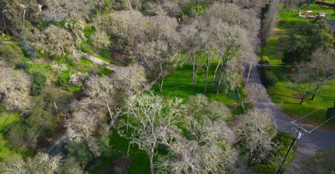 4321 Buchanan Dr, Fair Oaks, CA 95628 Photo