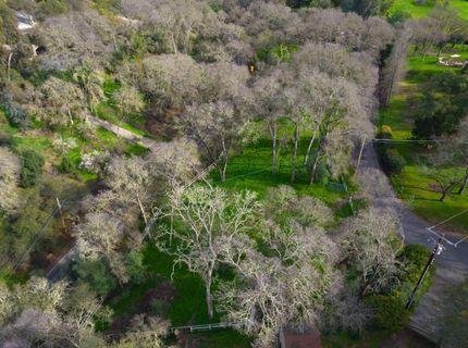 4321 Buchanan Dr, Fair Oaks, CA 95628 Photo