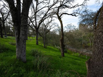 4321 Buchanan Dr, Fair Oaks, CA 95628 Photo