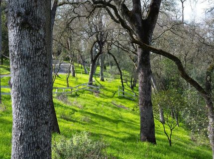 4321 Buchanan Dr, Fair Oaks, CA 95628 Photo