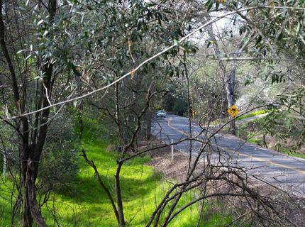 4321 Buchanan Dr, Fair Oaks, CA 95628 Photo