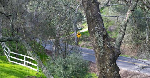 4321 Buchanan Dr, Fair Oaks, CA 95628 Photo