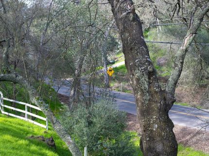 4321 Buchanan Dr, Fair Oaks, CA 95628 Photo