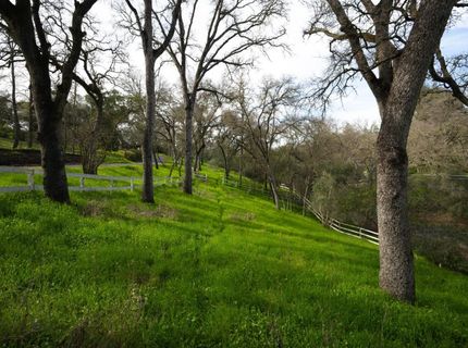 4321 Buchanan Dr, Fair Oaks, CA 95628 Photo