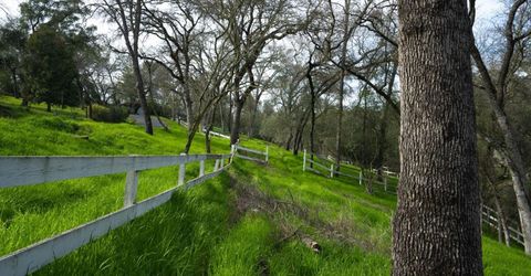 4321 Buchanan Dr, Fair Oaks, CA 95628 Photo