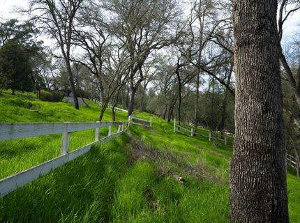 4321 Buchanan Dr, Fair Oaks, CA 95628 Photo