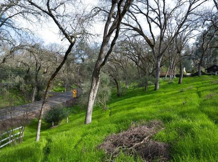 4321 Buchanan Dr, Fair Oaks, CA 95628 Photo