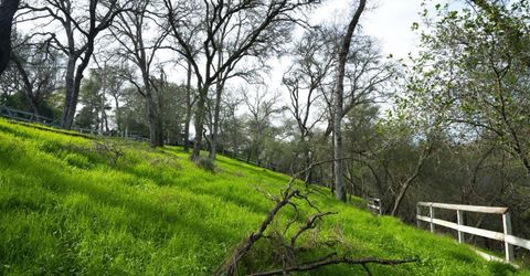 4321 Buchanan Dr, Fair Oaks, CA 95628 Photo