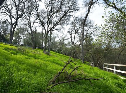 4321 Buchanan Dr, Fair Oaks, CA 95628 Photo