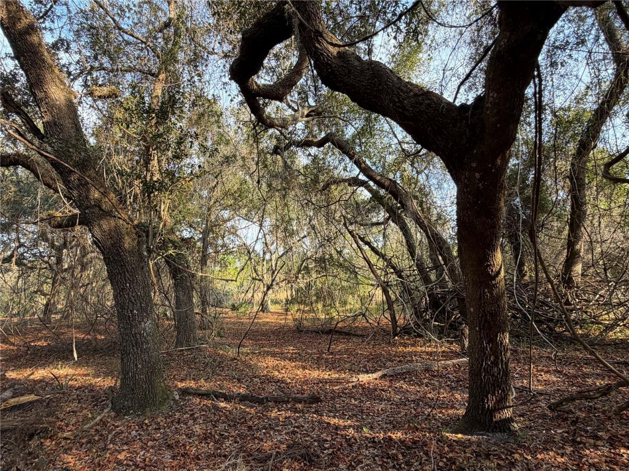 6966 E Turner Camp Road, Inverness, FL 34453 Photo