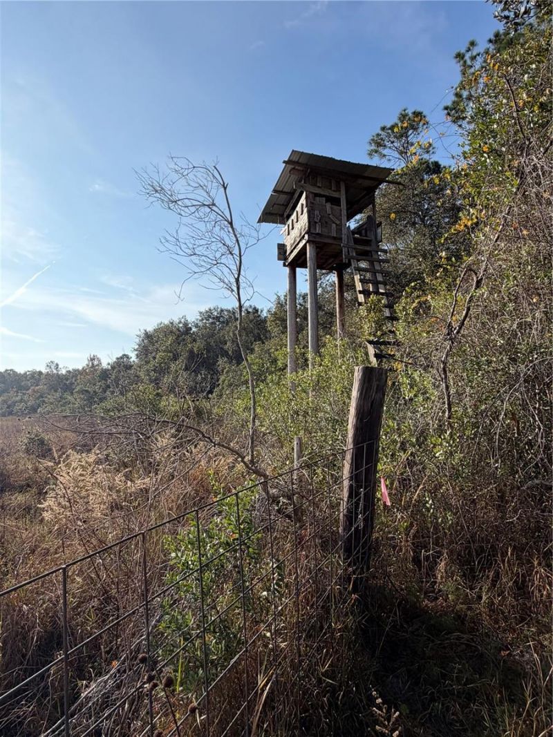 6966 E Turner Camp Road, Inverness, FL 34453 Photo