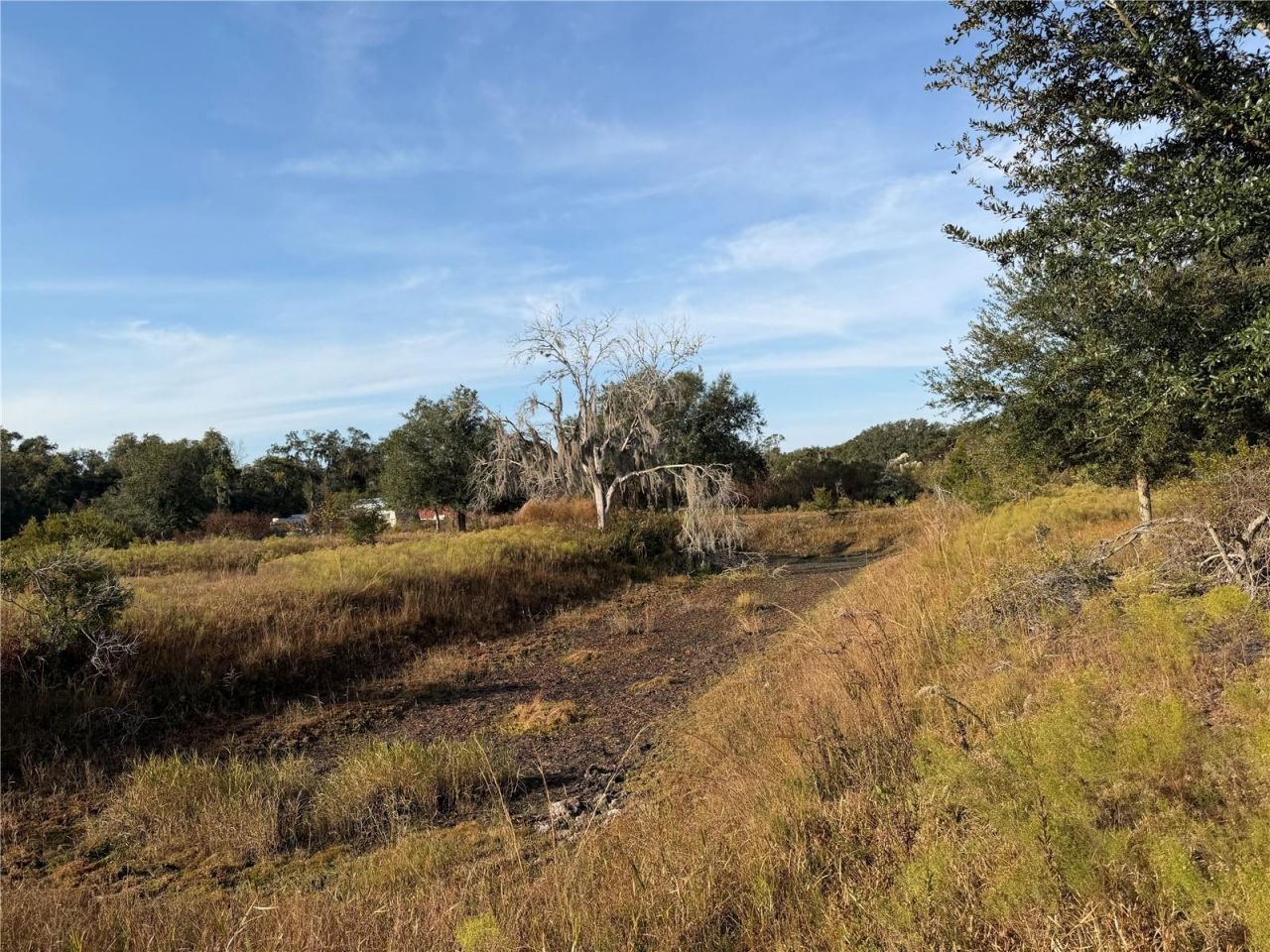 6966 E Turner Camp Road, Inverness, FL 34453 Photo