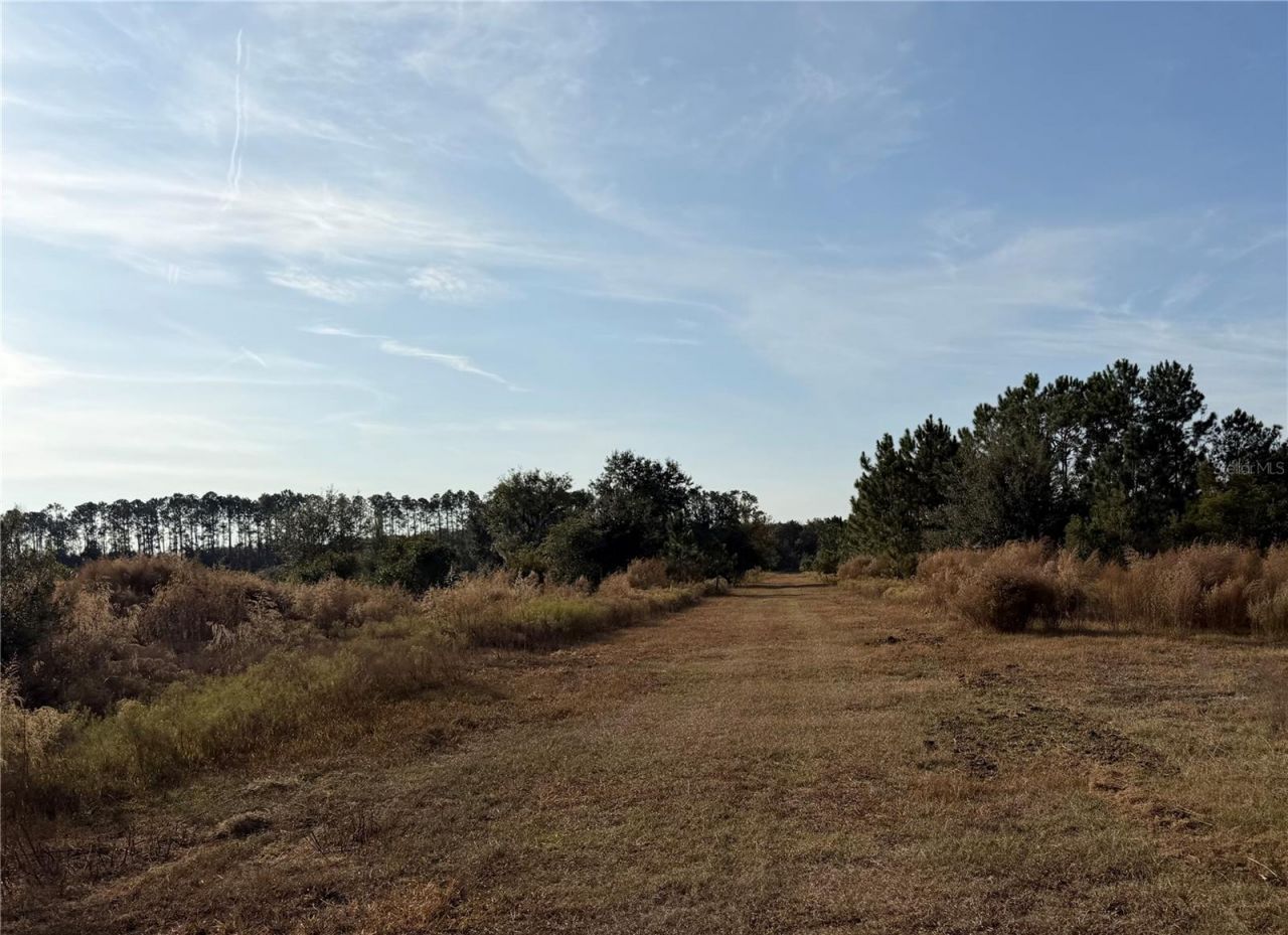 6966 E Turner Camp Road, Inverness, FL 34453 Photo