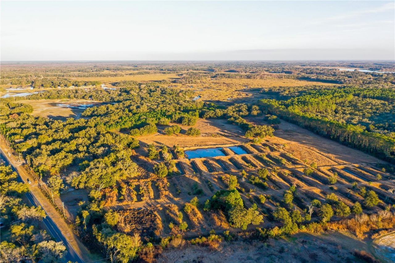 6966 E Turner Camp Road, Inverness, FL 34453 Photo