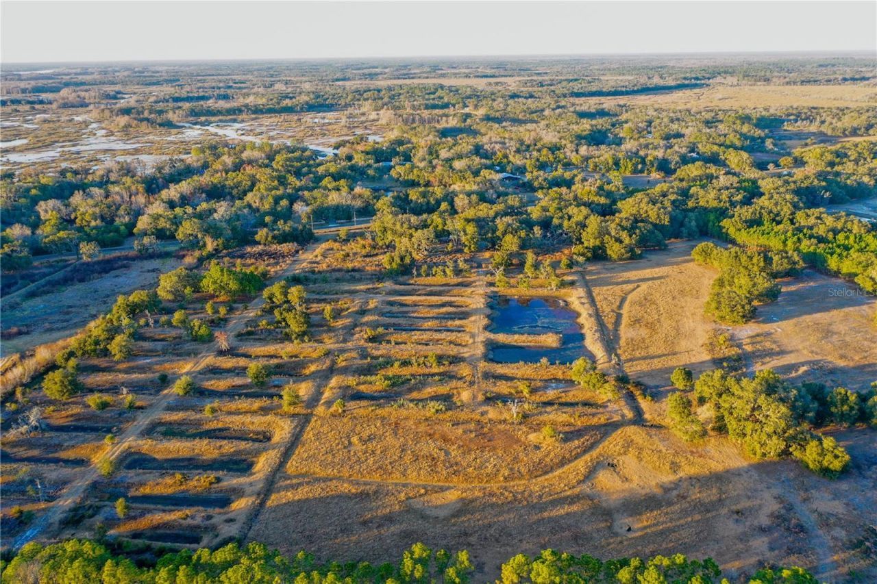 6966 E Turner Camp Road, Inverness, FL 34453 Photo