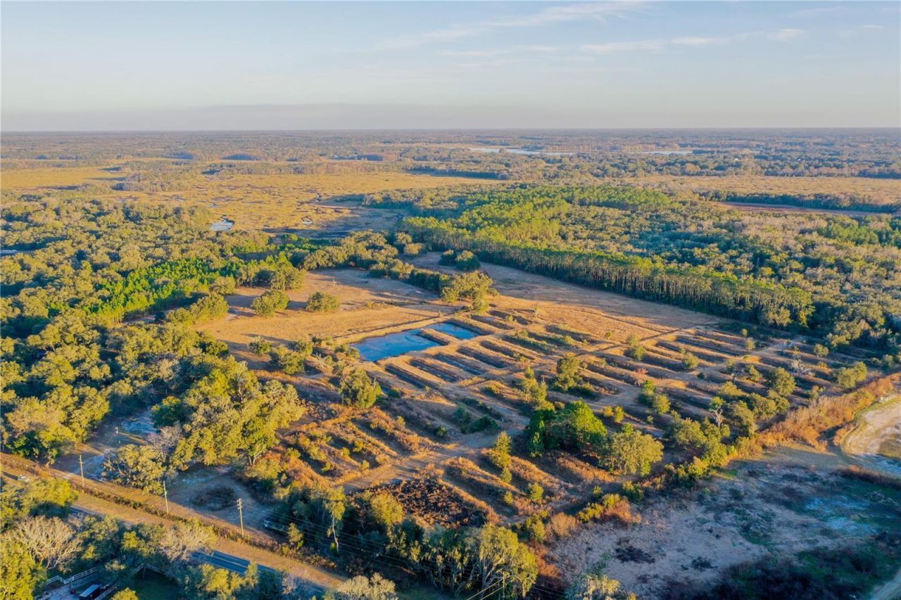 6966 E Turner Camp Road, Inverness, FL 34453 Photo