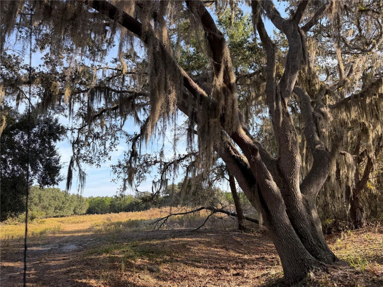 6966 E Turner Camp Road, Inverness, FL 34453 Photo