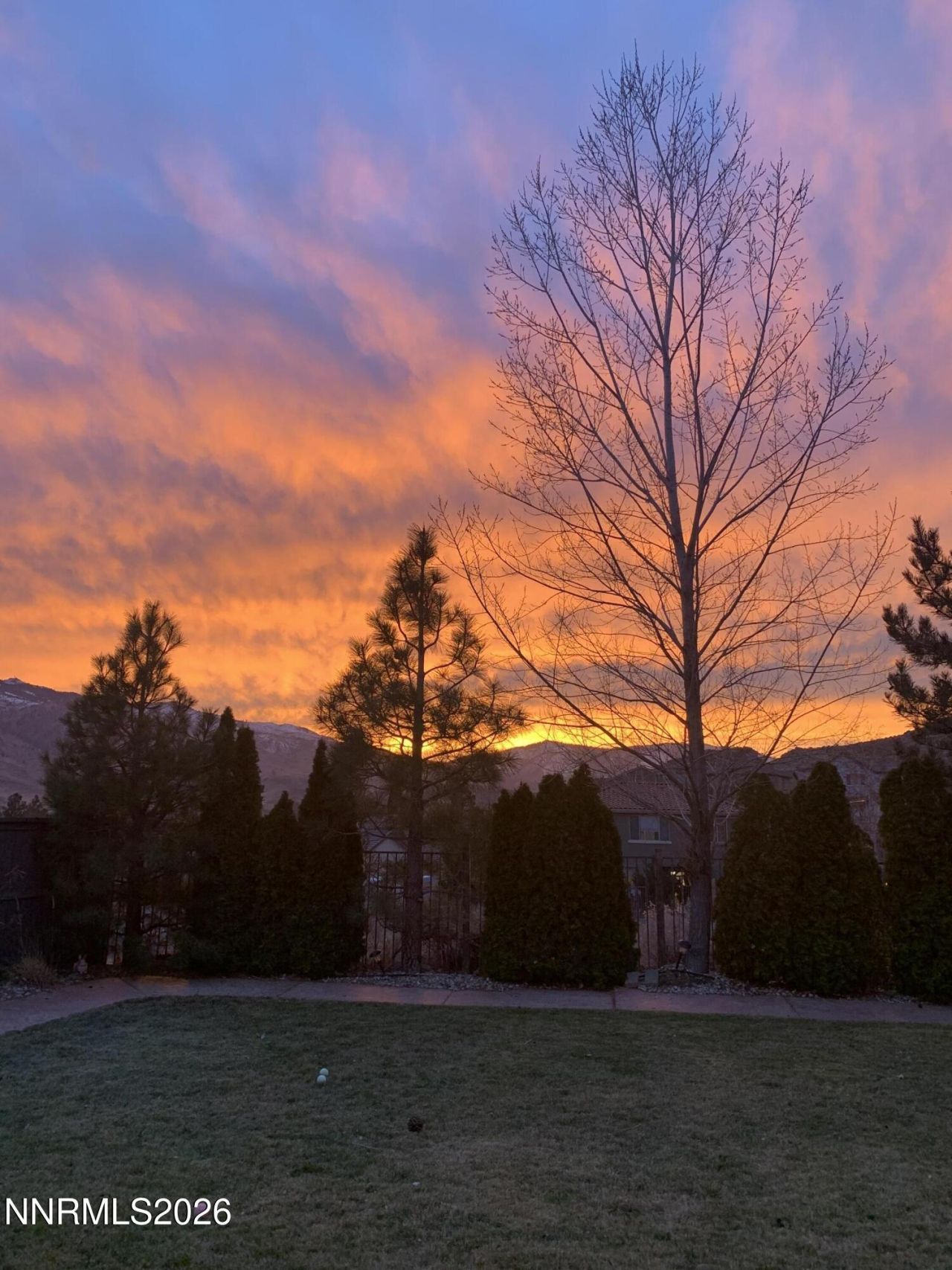 325 Jackson Springs Drive, Reno, NV 89523 Photo