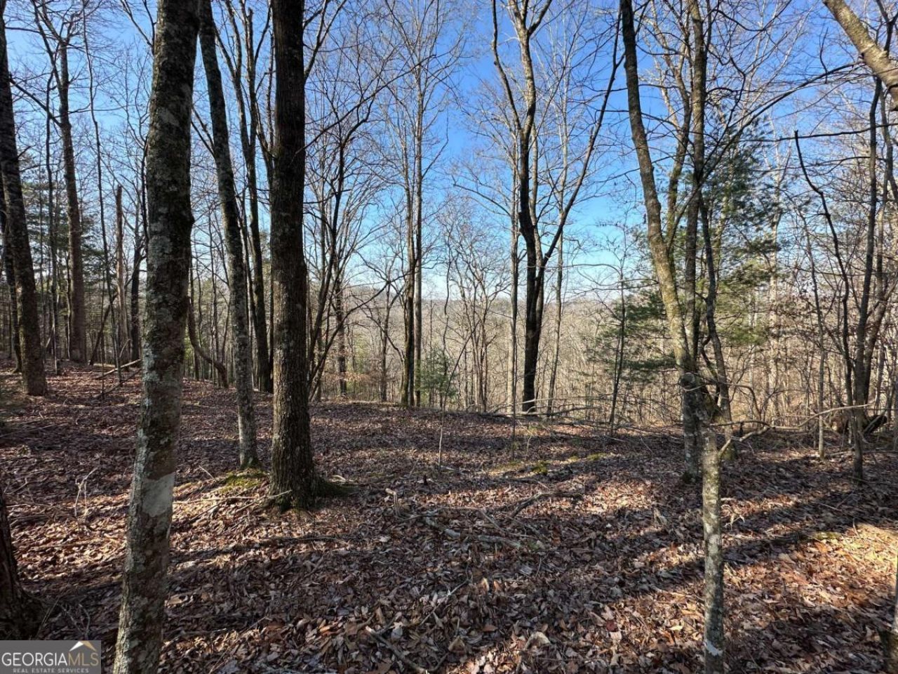 Lot 1640 Hunter Drive, Lot #1640, Talking Rock, GA 30175 Main Photo