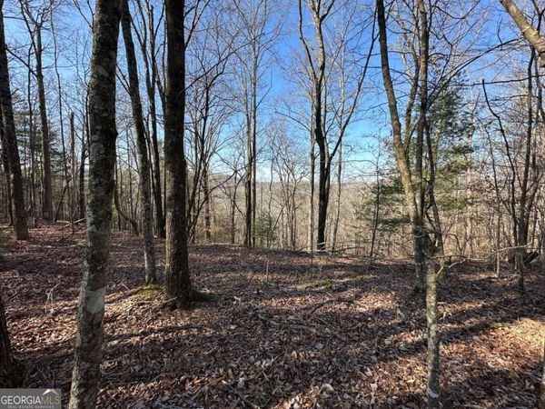 LOT 1640 Hunter Drive, Unit 1640, Talking Rock, GA 30175