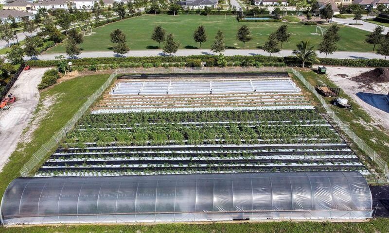 19017 Fly Rod Run, Loxahatchee, FL 33470 Photo