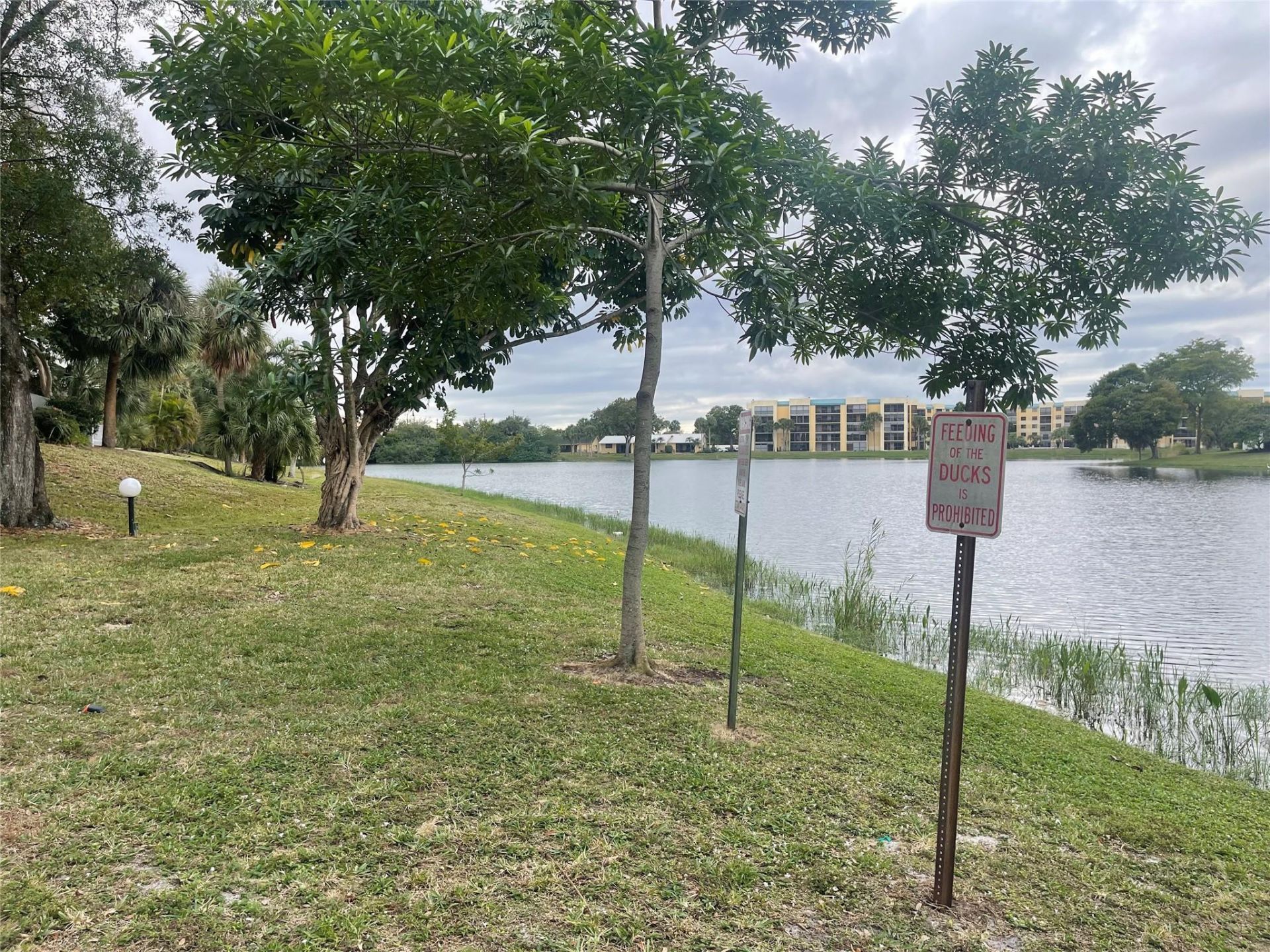 3301 Spanish Moss Terrace, Unit 610, Lauderhill, FL 33319 Photo